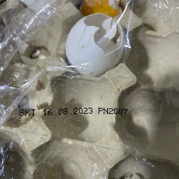 File Market Harras Markasi Tanıtıldığı Kadar Da İyi Değilmiş