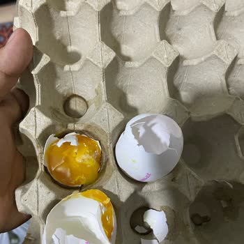 File Market Harras Markasi Tanıtıldığı Kadar Da İyi Değilmiş