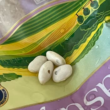 BİM'de Satılan Şaban Bulgur Böceklenmiş