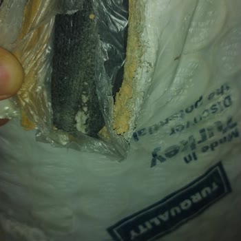 Weltew Defolu Ürün Ve Yardımcı Olmayan Müşteri Hizmetleri