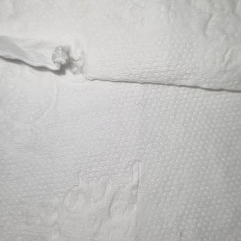 Papia Peçete Kıl Çıktı