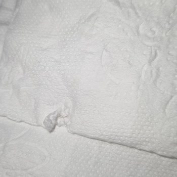 Papia Peçete Kıl Çıktı
