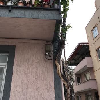 TurkNet Tek Kelime İle Pişmanlıktır