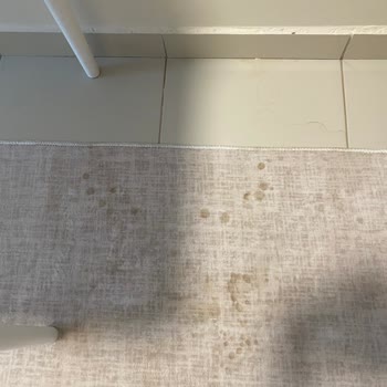 Saka Su Patlak Damacanası Hakkında