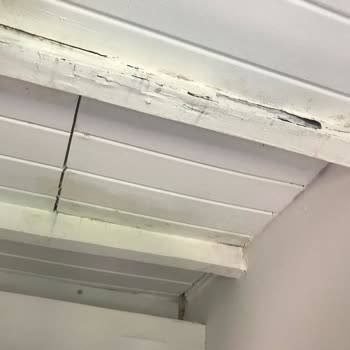 Afytos Akçay Tatil Köyü Kertenkele Güve Örümcek Ağlarıyla Dolu Bir Oda!