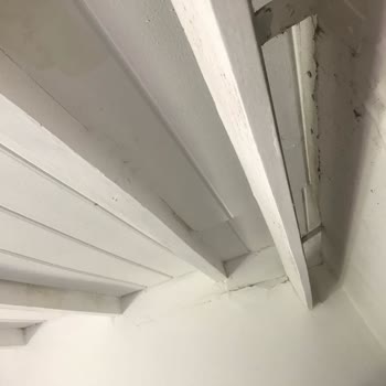 Afytos Akçay Tatil Köyü Kertenkele Güve Örümcek Ağlarıyla Dolu Bir Oda!