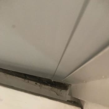 Afytos Akçay Tatil Köyü Kertenkele Güve Örümcek Ağlarıyla Dolu Bir Oda!