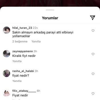 Dreeslady_ (Instagram) Dreeslady Paramı Vermiyor