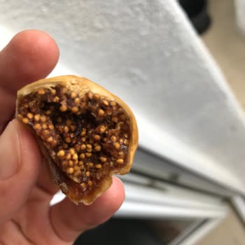 Gold Harvest Kuruyemiş Kurtlar Ve Böcekler