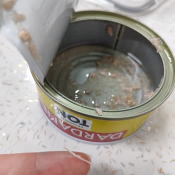 Dardanel Tonbalığı Konserve Kılçık Çıktı