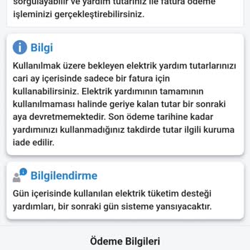 E-Devlet (Turkiye.gov.tr) Elektrik Yardımı İle Fatura Ödeyemiyorum