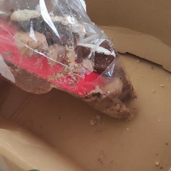 Çiçek Sepeti BonnyFood Kötü Şekilde Gelmesi