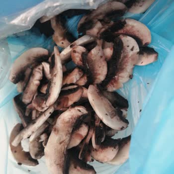 Pekdemir Çiftliği AVM Aldığım Mantar Bozuk Çıktı