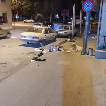 Burdur Belediyesi Kaldırıma Bırakılan Çöpler
