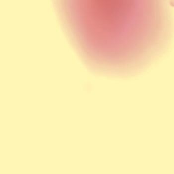 Çeşme Belediyesi Ilıca Belediye Veterinerlik Hizmetleri