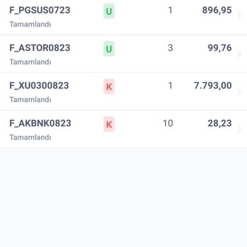 İs Bankası Ve İş Menkul Değerler