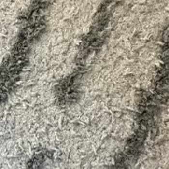 Karmen Halı Sattığın Halının Arkasında Dur