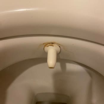 Tatilbudur Otelde Böcek Sorununda Yardımcı Olmadı