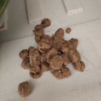 Trendyol 15 Kg Tavuklu Yavru Kedi Maması Siparişi Hatası