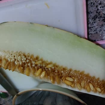 Olgunlaşmamış Kavunu İade Almayan Getir