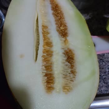Olgunlaşmamış Kavunu İade Almayan Getir