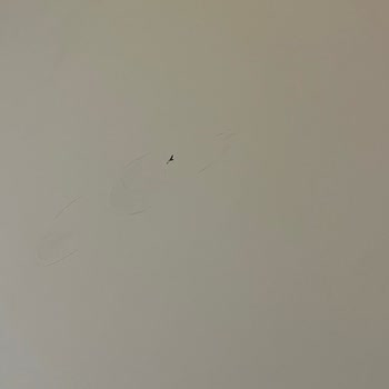 Gezinomi Tur Programla Uyuşmuyor Ve Otel Küf Kokulu