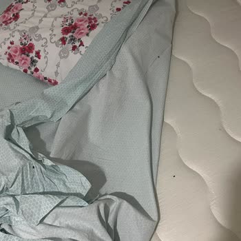 Modalife Dan Aldığımız Yatak Baza Ve Başlıktan Tahta Kurusu Rezilli