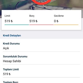 Türk Finansman Aş Kredi Kullanımı