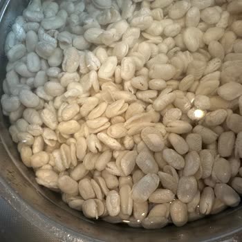 Hasata Derinkuyu Kurufasulye, Soğuk Suya Islattım Ve Parçalandı