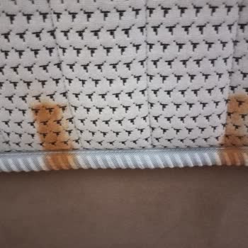 Doğtaş Malına Sahip Çıkmıyor!