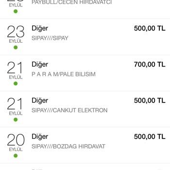 Sipay Yetkisiz Hesabımdan Para Çekildi