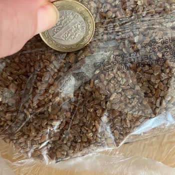 City Farm Organik Siyez Bulguru Paketinden Çıkan Yabancı Cisim