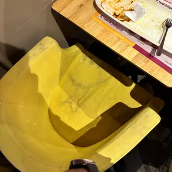 Tavuk Dünyası Koltukların Hijyen Problemi