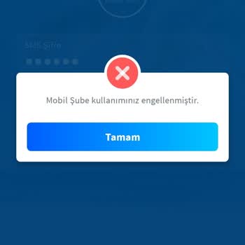 Halkbank Kredi Kartı Borcu