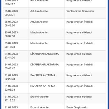 Sürat Kargo Kargonun Gereğinden Fazla Gecikmesi