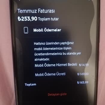 Vizyon Elektronik Para Ve Ödeme Hizmetleri A. Ş.