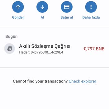 Trust Wallet Ön Satıştan Aldığım Coin Görünmüyor