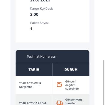 Sürat Kargo Kargonun Teslim Edilmemesi
