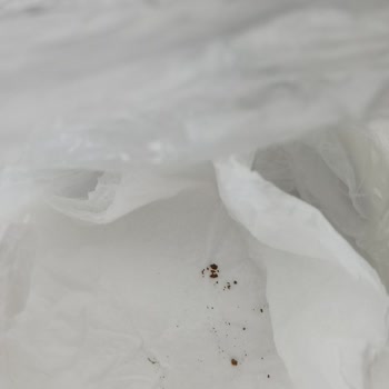 File Market"lezzet Mantı"nin İçinden Fare Dışkısına Benzer Şey Çıkması