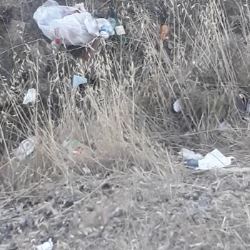 Foça Belediyesi Foça Çöplük Çöplük Çöplük