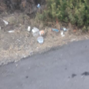 Foça Belediyesi Foça Çöplük Çöplük Çöplük