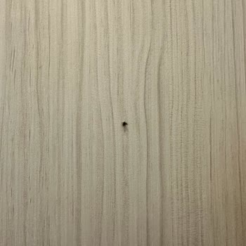 Pronto Tour Montenegro Budva Gezisi Otel Ve Rehberlik Şikayeti