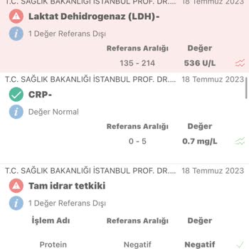 Sağlık Bakanlığı Biontech Yan Etkileri