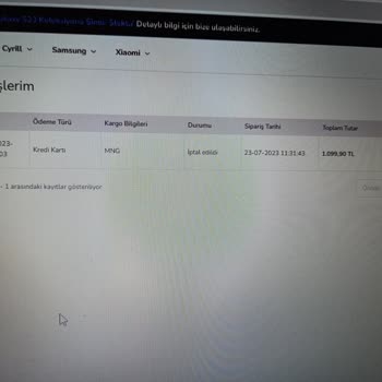 Spigen Türkiye'den Yapılan Alışverişte Yaşanan Sorun