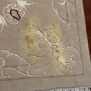 Çorlu Viva Halı Yıkama Halılarımızı Mahvetti