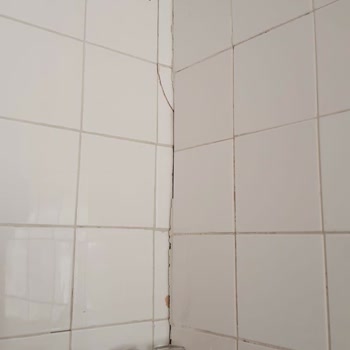 Marmara Adası Deniz Yıldızı Tatil Köyü Çürük Binaları Kiralıyor