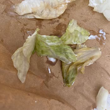 Burger King De Çürük Marul