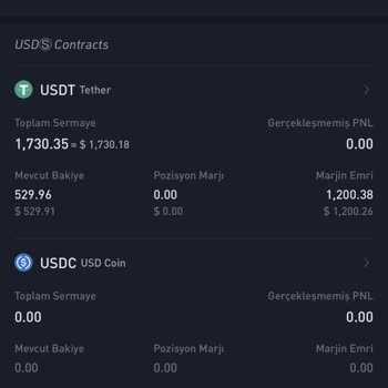 Kucoin Mevcut Bakiye İle Kullanılan Bakiye Farklı