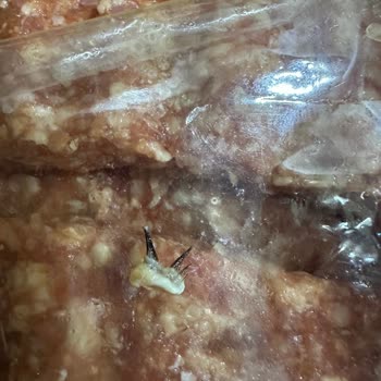 Migros Kebaptan Kirpikli Göz Kapağı Çıktı