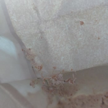 A101 Bozuk Ve Kurtlu Ürünler